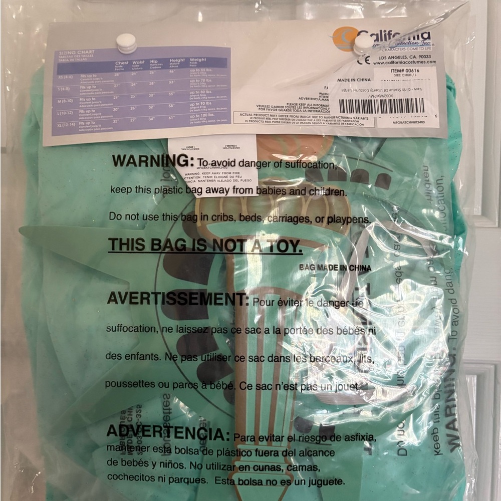 Statue of Liberty Costume